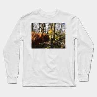 Scottish Highland Cattle Cow and Easter eggs 2348 Long Sleeve T-Shirt